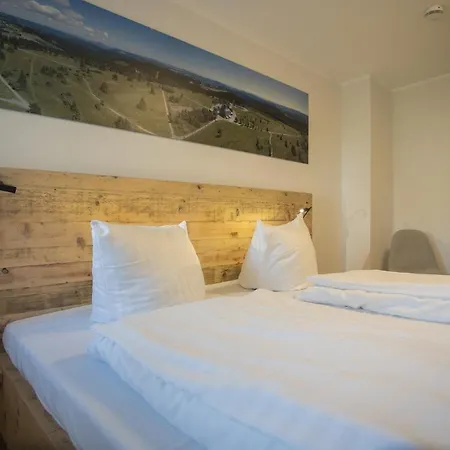 Welcome In - Wintertraum, Dichtbij De Piste, Balkon, Mooie Omgeving * Winterberg