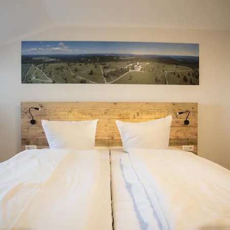 Welcome In - 'wintertraum', In Pistennaehe, Mit Balkon, In Schoener Umgebung - Neuastenberg, * Winterberg