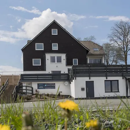 Welcome In - 'wintertraum', In Pistennaehe, Mit Balkon, In Schoener Umgebung - Neuastenberg, Daire *