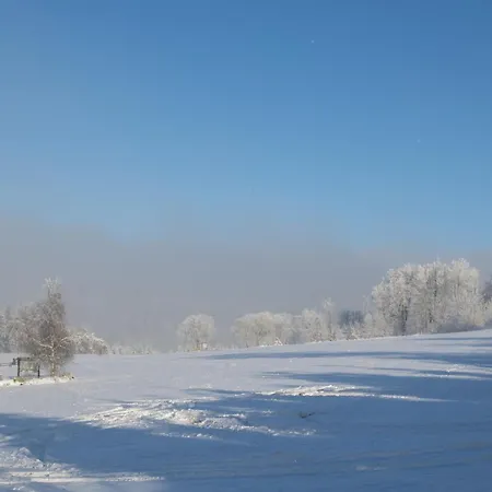 Daire Welcome In - 'wintertraum', In Pistennaehe, Mit Balkon, In Schoener Umgebung - Neuastenberg, Winterberg