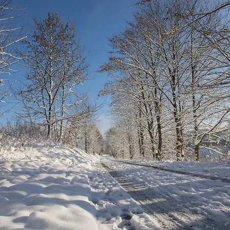 Welcome In - 'wintertraum', In Pistennaehe, Mit Balkon, In Schoener Umgebung - Neuastenberg, Winterberg